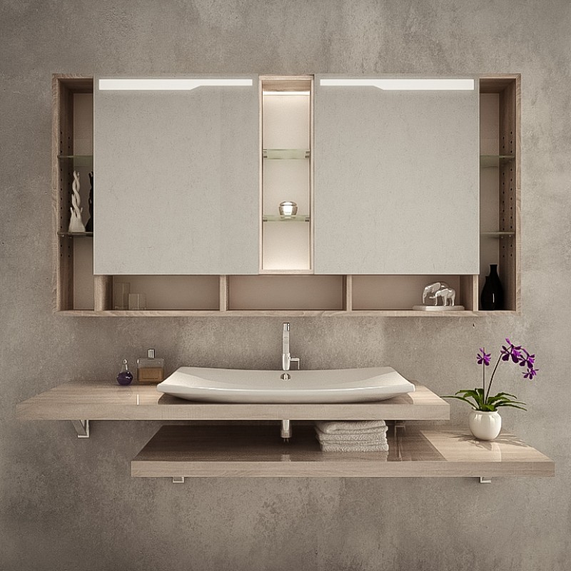 Menagerry stapel Soepel Spiegelschrank fürs Badezimmer kaufen - Paris | Spiegel21